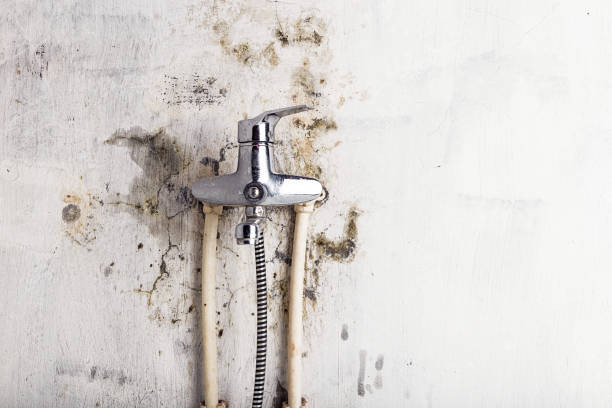 Trusted Rainbow City, AL Mold Remediation Experts