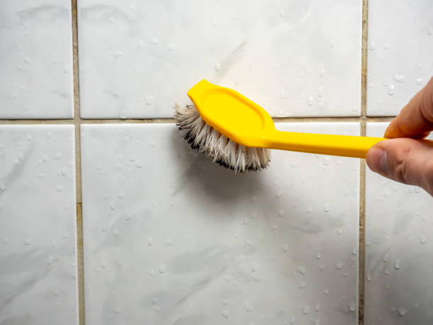 Best Black Mold Remediation in Rainbow City, AL