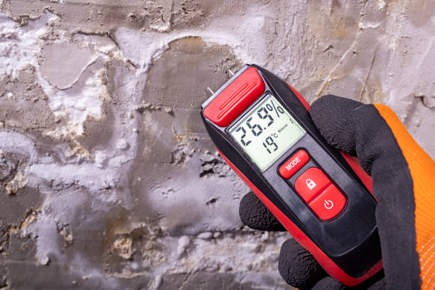 Rainbow City, AL Mold Remediation Company
