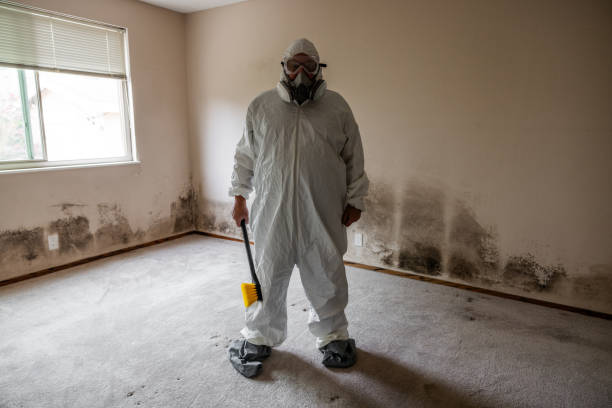 Best HVAC Mold Remediation in Rainbow City, AL